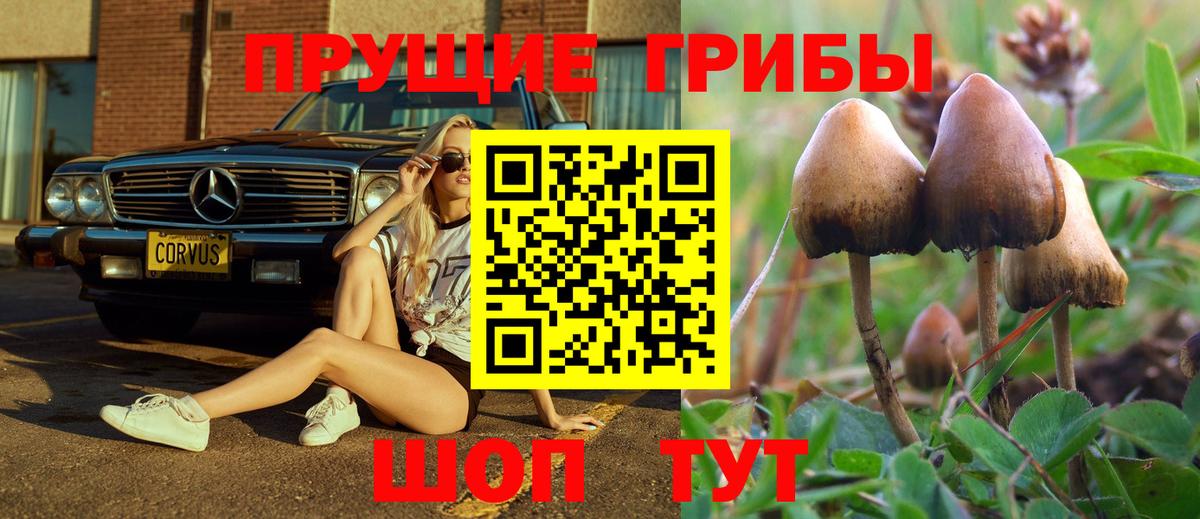 наркота  Псилоцибиновые грибы Magic Shrooms  Вход с VPN  Кириши  Галлюциногенные грибы Psilocybe 